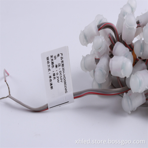 IP67 Waterproof 9mm SMD2025 Single Color Digital LED Pixel Lights for Christmas Decorations